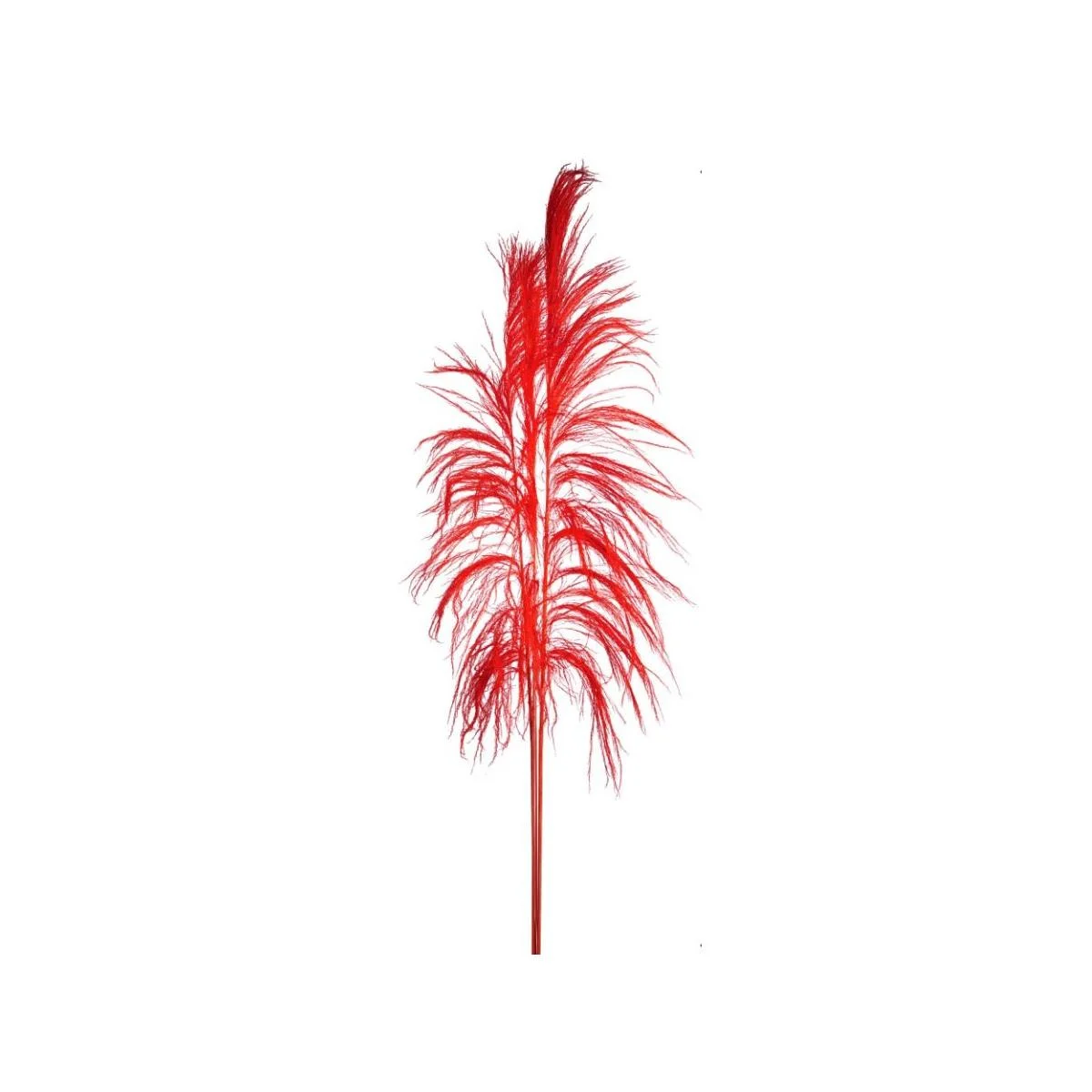 Fiore Rametto Cana Brava Naturale Rossa cm.200