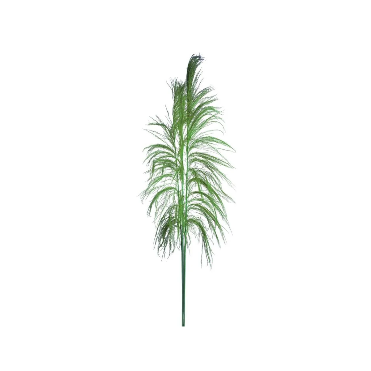 Fiore Rametto Cana Brava Naturale Verde cm.200