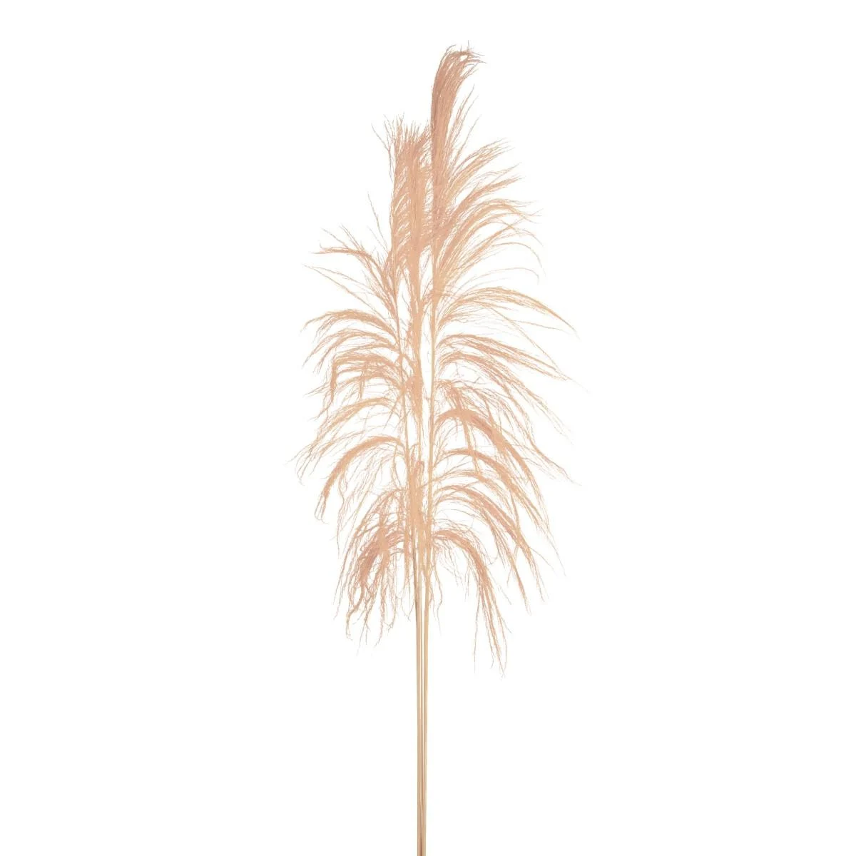 Fiore Rametto Cana Brava Naturale Sbiancata cm.200