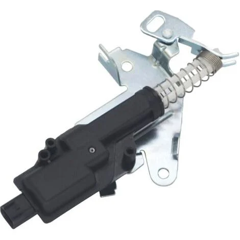 Serratura per bagagliaio posteriore per Fiesta MK5 6 Fusion 2S6T432A98AF 2S6T432A98AE 1481081