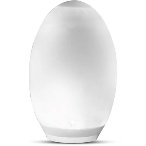 LED LUCE A FORMA DI UOVO A LED SOLARE RGB