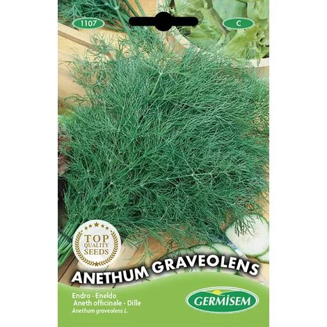 Germisem Anethum Graveolens Semi di Aneto 4 g