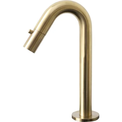Essebagno Indus miscelatore per lavabo oro spazzolato acqua fredda