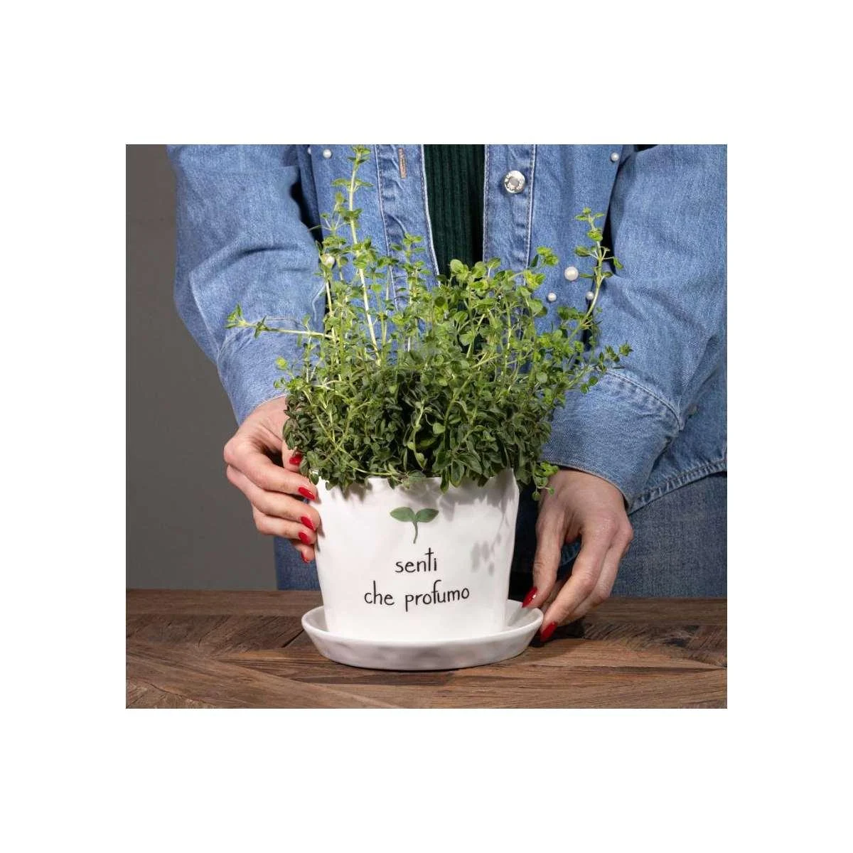 Vaso Ceramica Simple Day con Scritta Senti Che Profumo cm.15