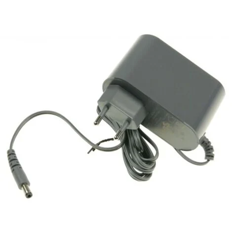 Caricabatterie elettrico - Aspirapolvere - ROWENTA - 43477623616360502756