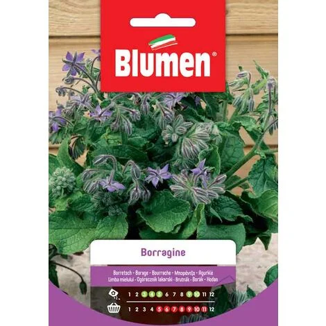 SEMI DI BORRAGINE