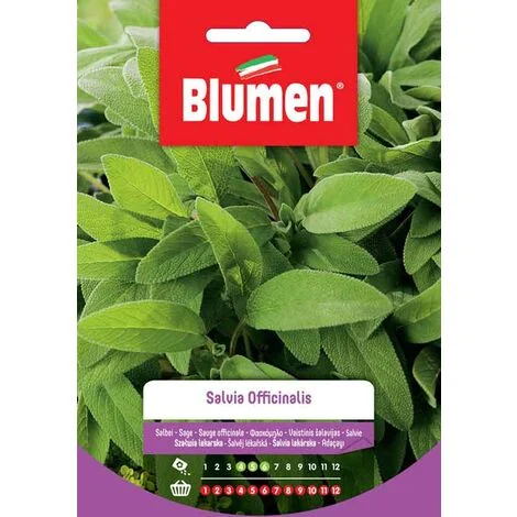 SEMI SALVIA OFFICINALIS