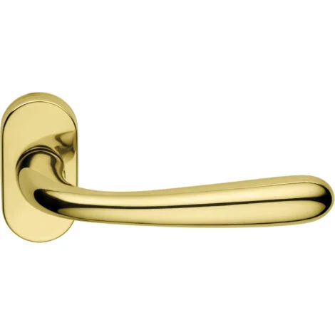 1/2 MANIGLIA PORTA BLINDATA ROSETTA OVALE GOCCIA DxOTTONE LUCIDO