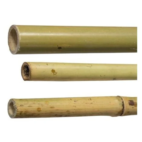 25 PZ CANNE CANNA DI BAMBOO PALI PALETTI TUTORE H.180 CM SPESSOREØ 22/24
