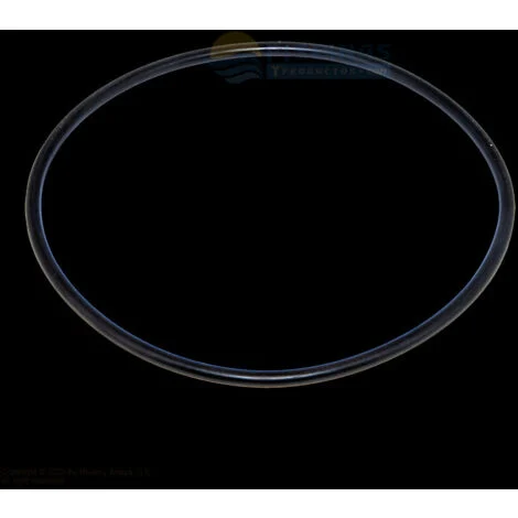 O-ring del coperchio del filtro Millenium/Cantabric. astralpool. 4404180201.