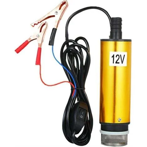 Pompa per pozzo DC 12/24V, pompa per pozzo in acciaio inox, pompa di aspirazione - (Tre metri) 12V-Crezuo