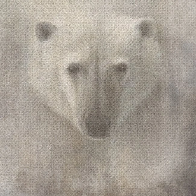 Dipinto su Tela BEAR 2