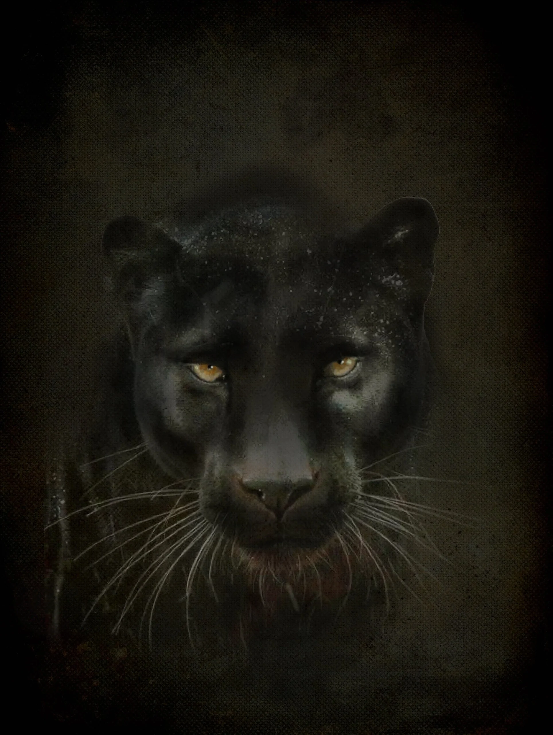 Dipinto su Tela BLACK PANTER 1