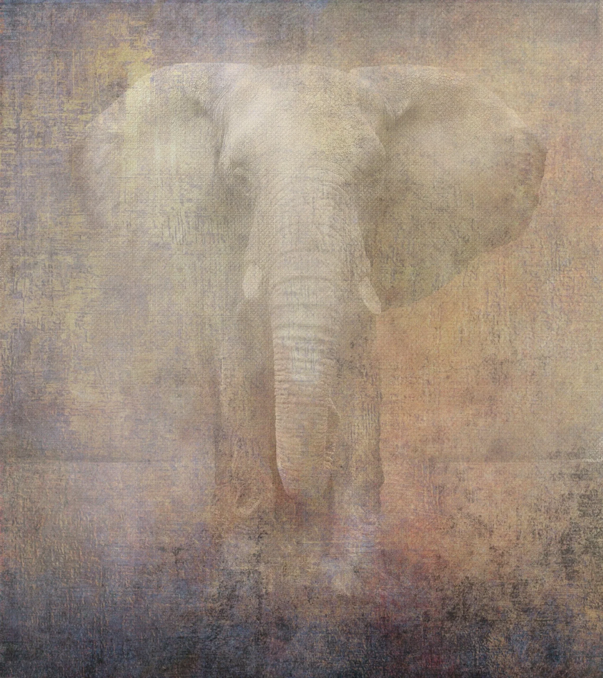 Dipinto su Tela ELEPHANT 2