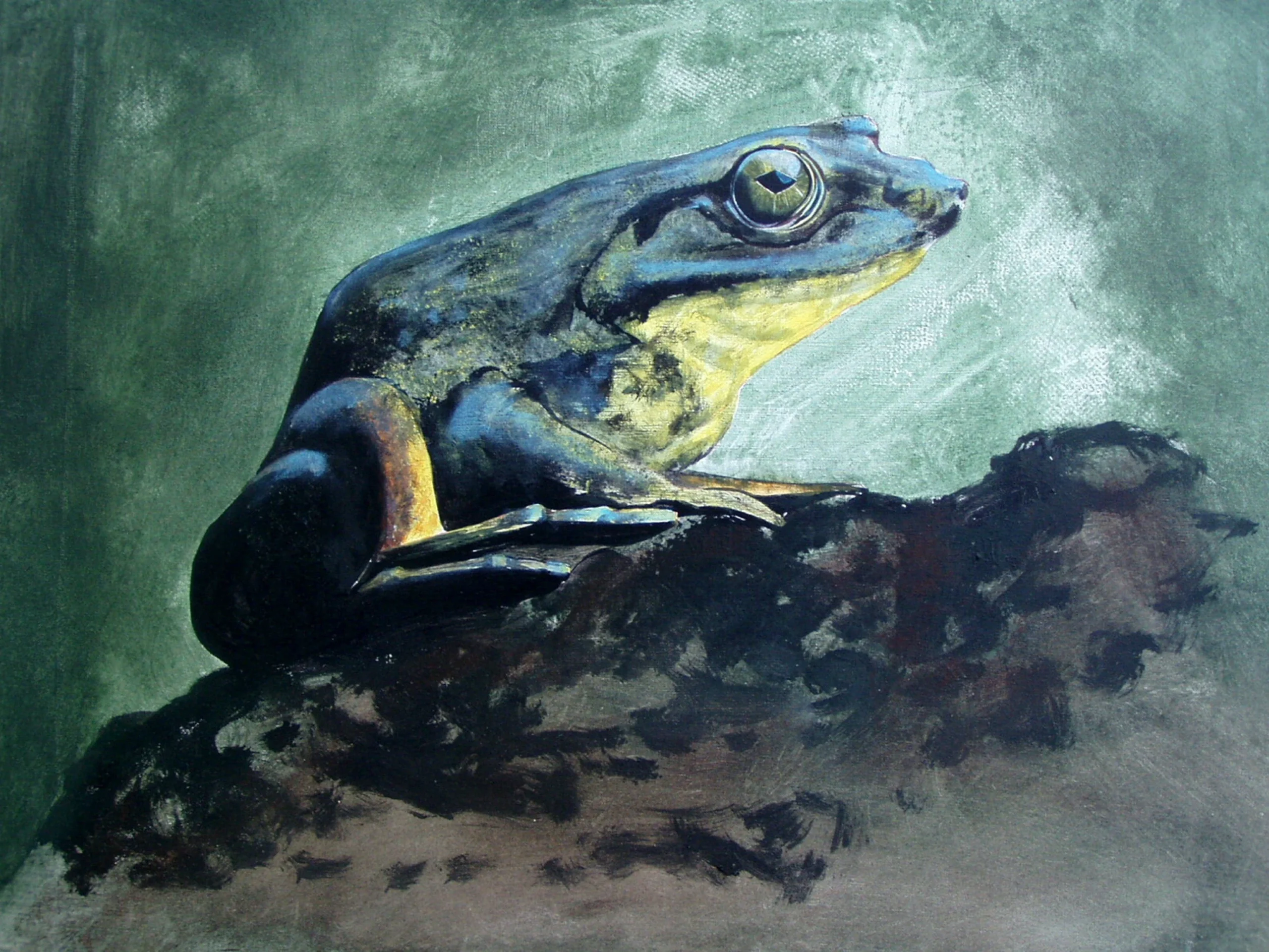 Dipinto su Tela FROG 1