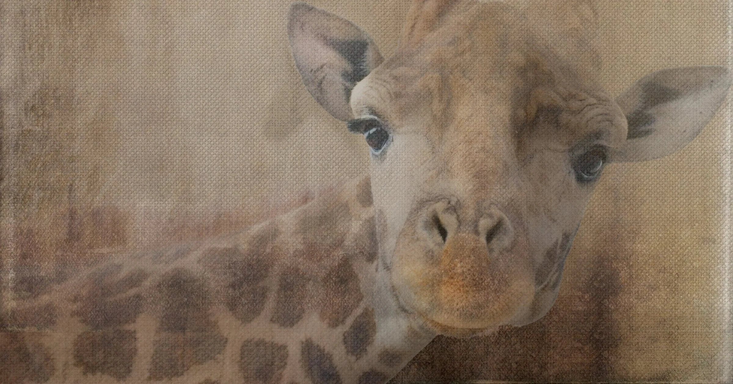 Dipinto su Tela GIRAFFA'S HEAD