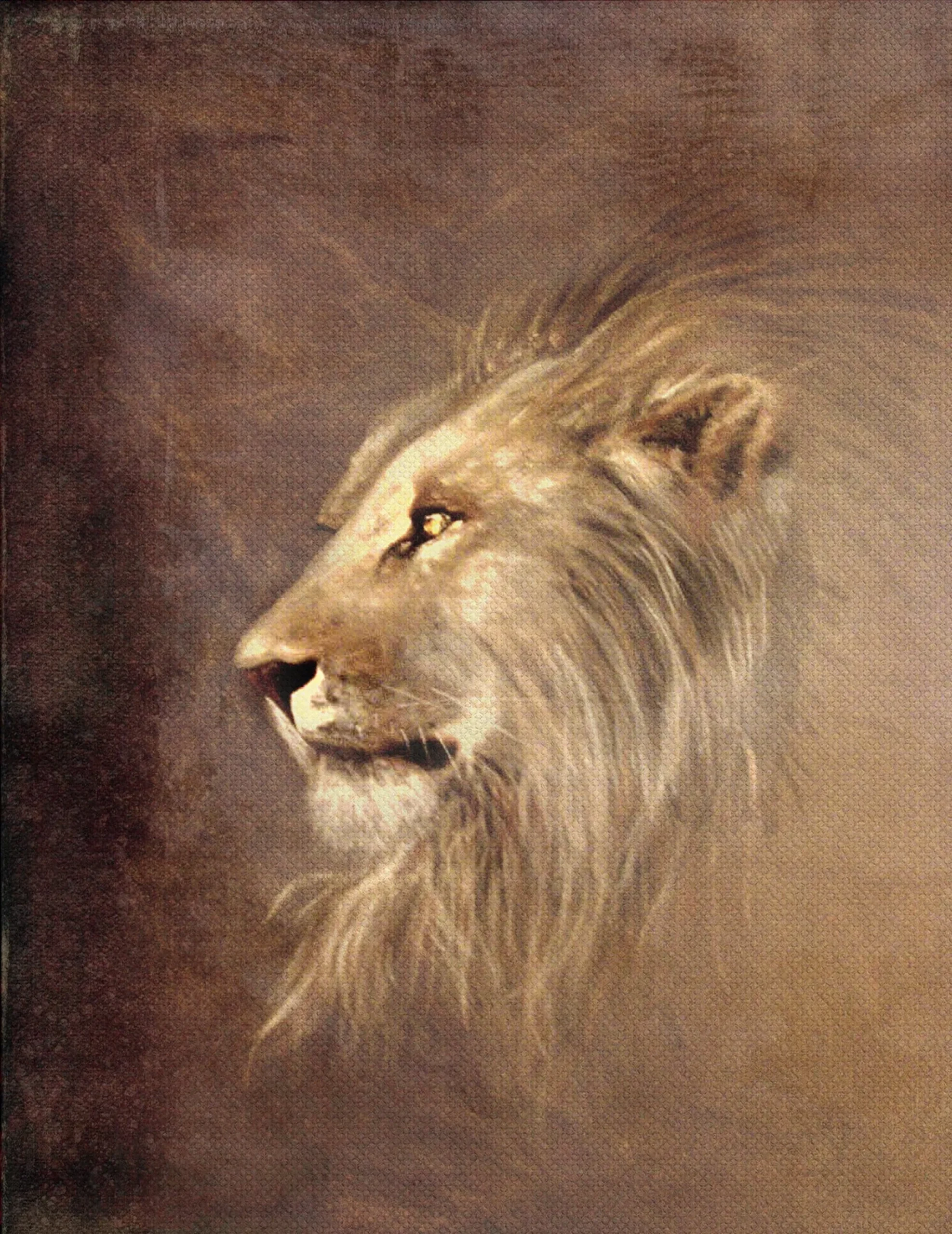 Dipinto su Tela LION 2