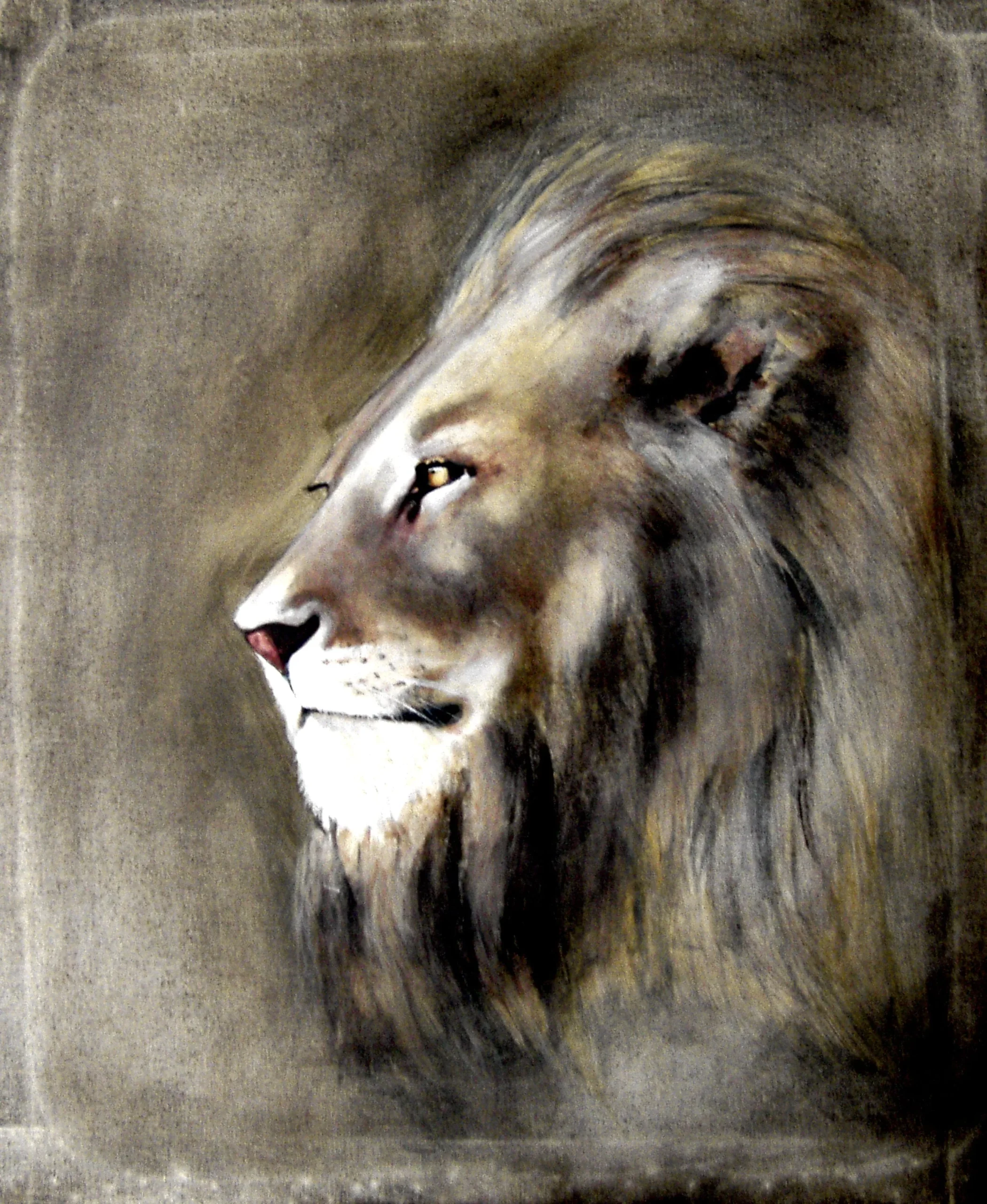 Dipinto su Tela LION 3