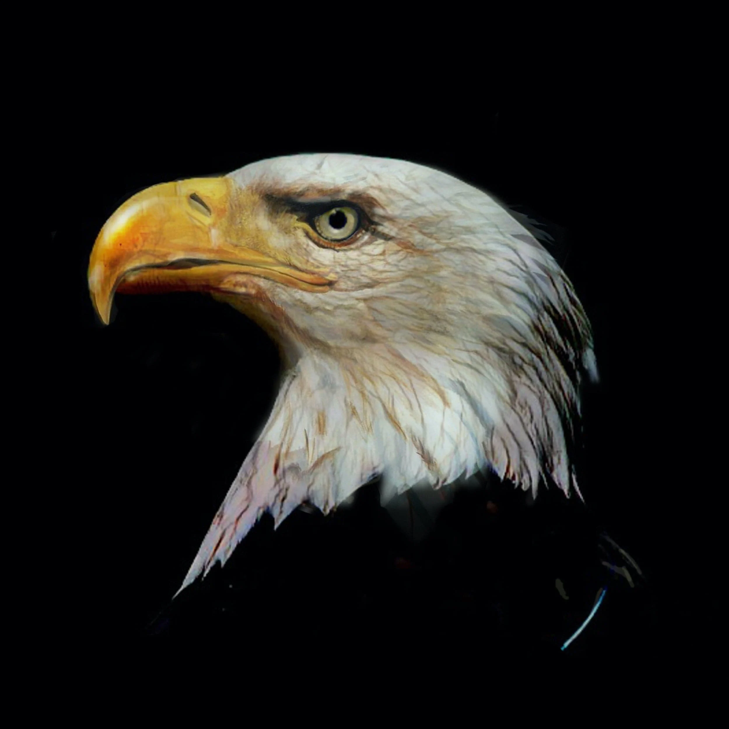 Dipinto su Legno EAGLE'S HEAD