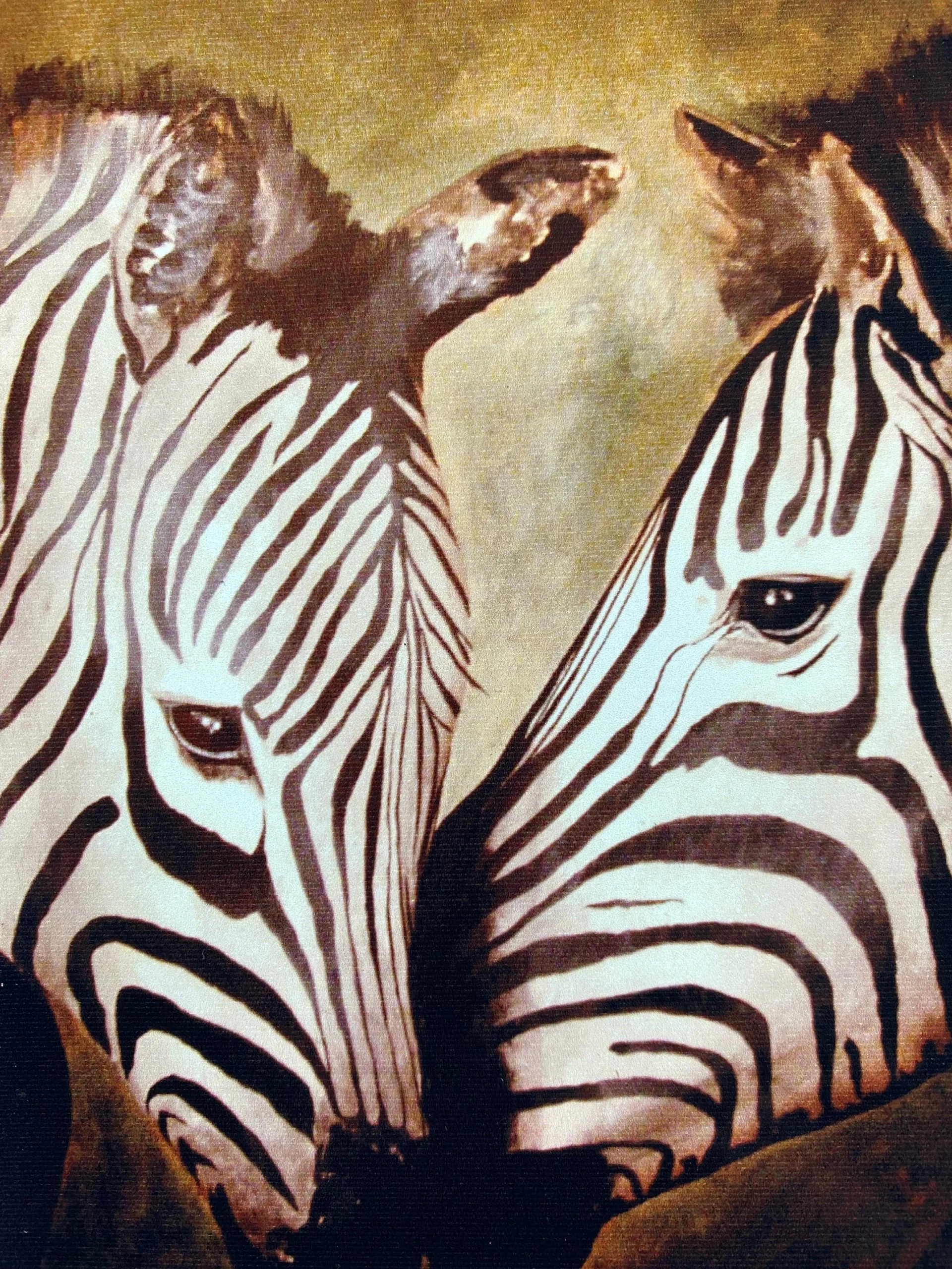 Dipinto su Tela ZEBRA'S LOVE 1