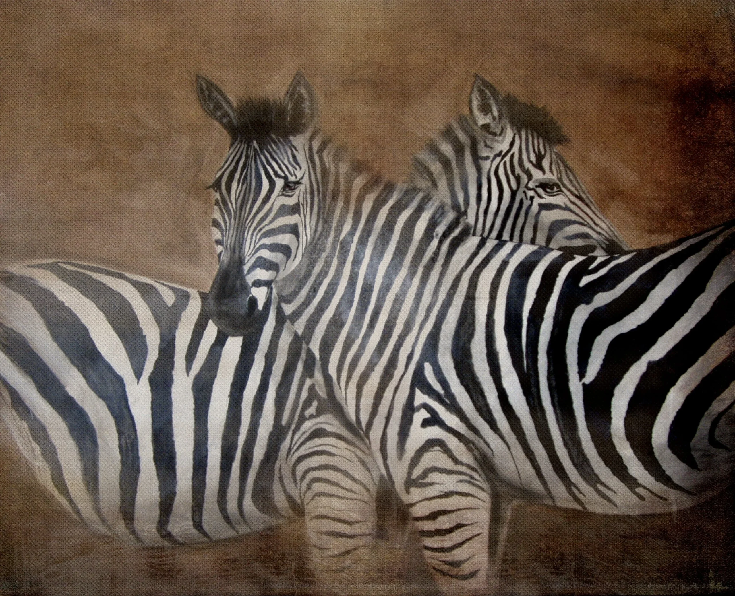 Dipinto su Tela ZEBRA'S LOVE 3