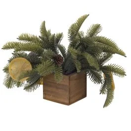 Piantina decorativa h. 16 cm, Garden