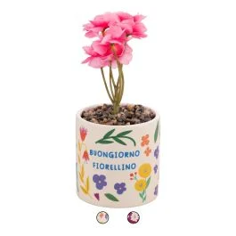 Piantina artificiale, vaso in ceramica, More Amor