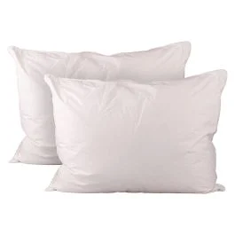 Set 2 guanciali 51x66 cm in piuma, Sibilla