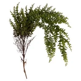 Felce artificiale verde scuro h. 93 cm, Garden