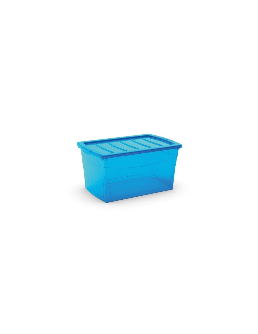 CONTENITORE OMNIBOX L AZZURRO