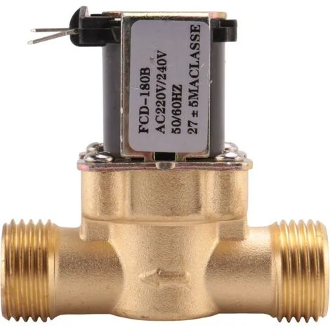 Elettrovalvola elettrica normalmente chiusa in ottone da 220 V da 1/2 pollice per il controllo di prodotti chimici industriali e acqua liquida