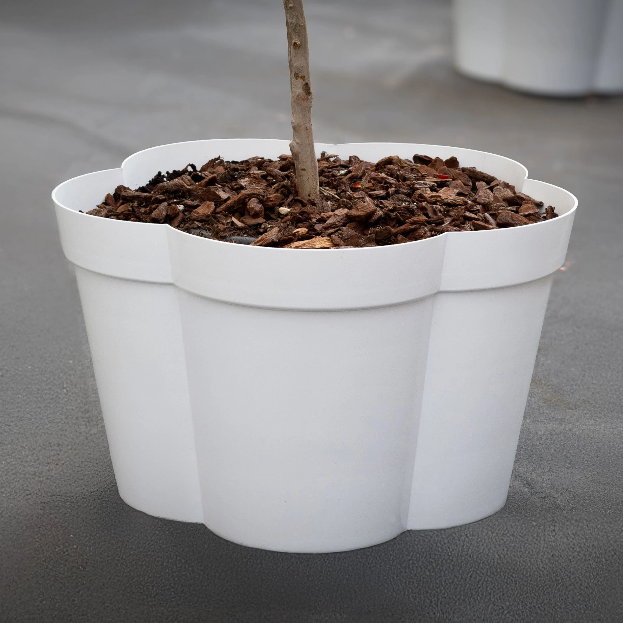 Vaso da Esterno VASO FIORE di Furf per Designtech Originals