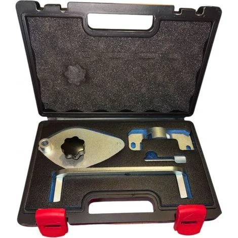 Kit Messa in Fase per Motori Fiat 1.0ie Lancia HYBRID 1.0L FIRE-FLY PR2458