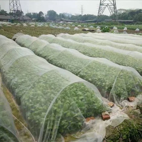 Rete anti-insetti per piante, protezione dagli insetti, rete in nylon antipolvere, serra per ortaggi, rete per uccelli, rete per frutteti - 2,5 x 6 m -Crezuo