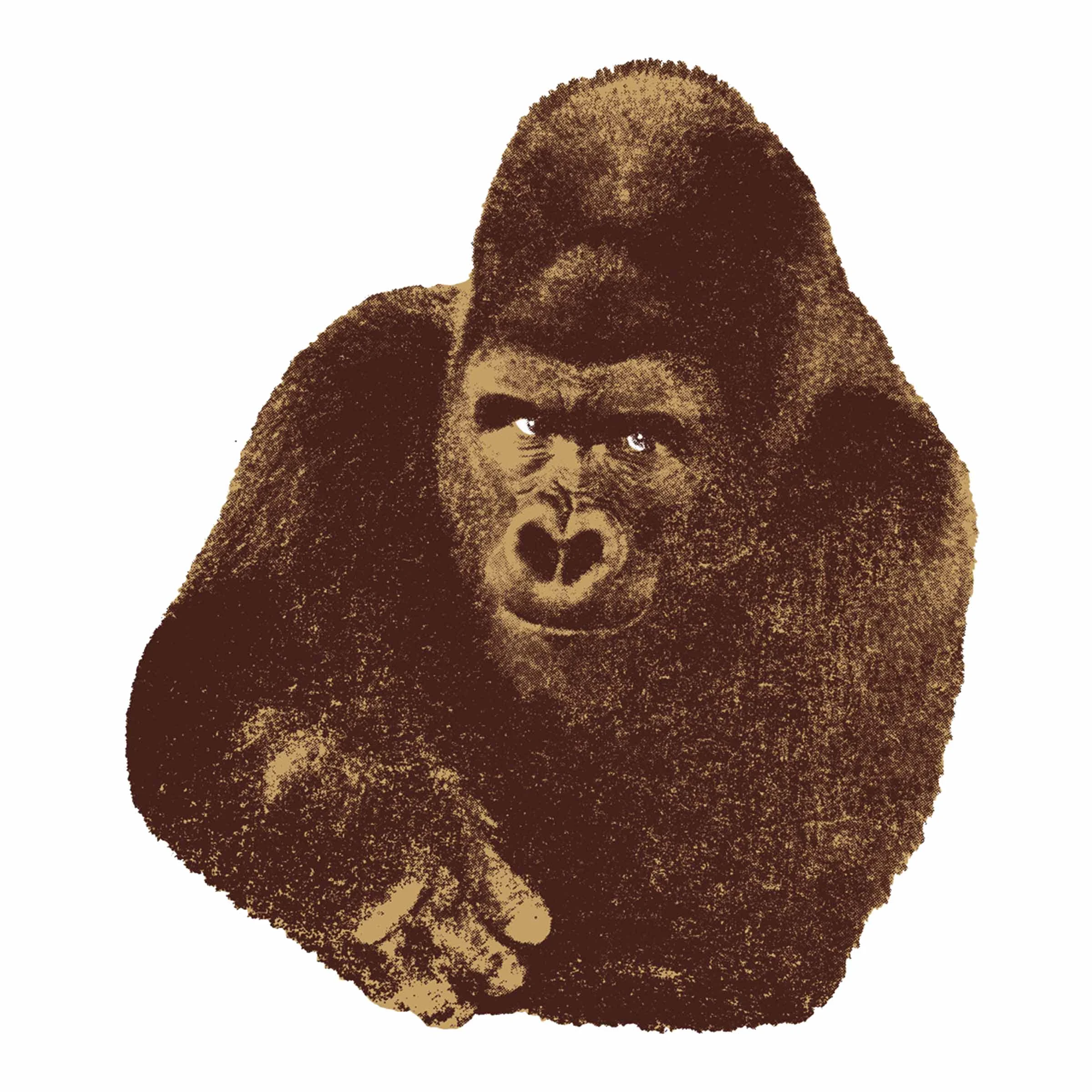 Stampa Serigrafica QUINDICI, IL GORILLA di Enzo Mari - 112x112cm