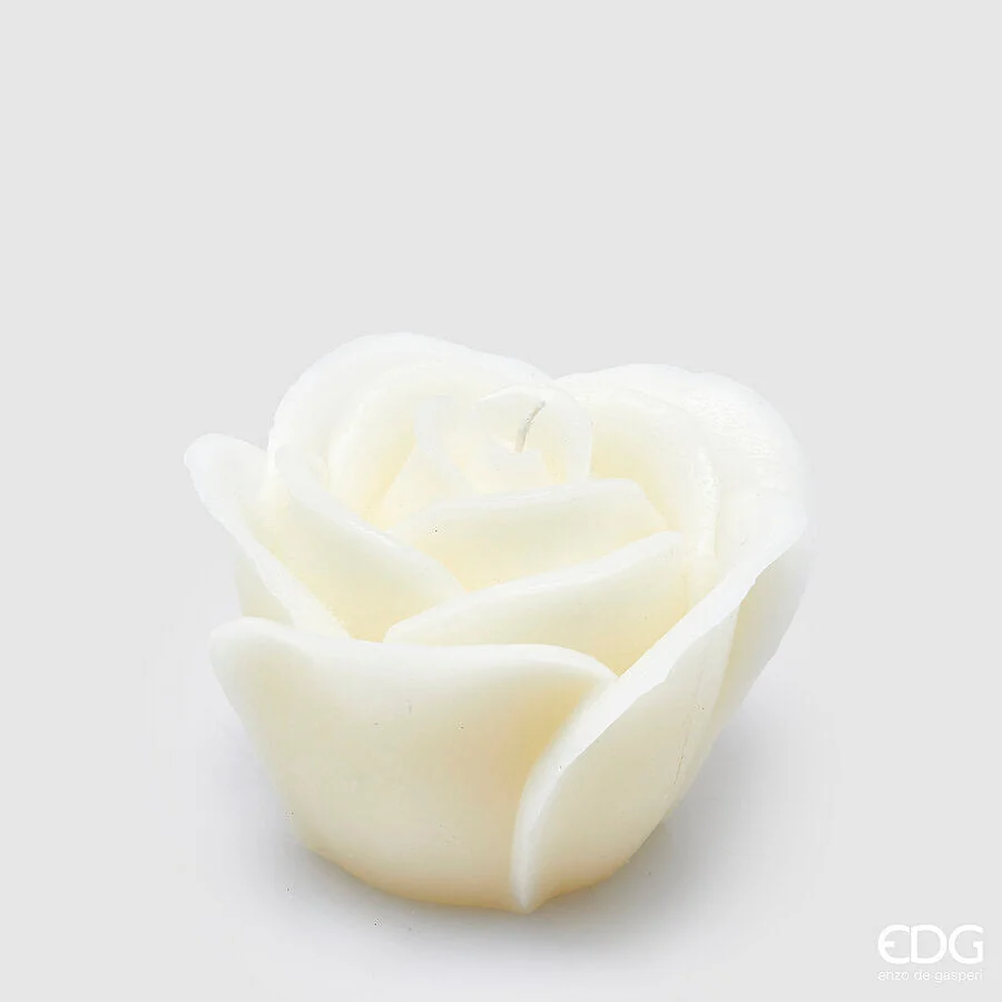 EDG Enzo De Gasperi Candela Rosa Sugar H 10 Cm D 13 Cm Avorio