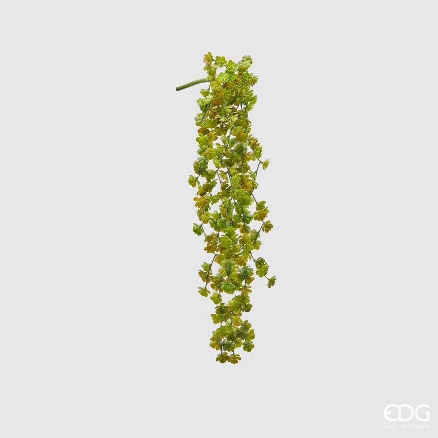 EDG Enzo De Gasperi Echeveria Olis Cespuglio Cadente H 44 Cm Pianta Artificiale Verde