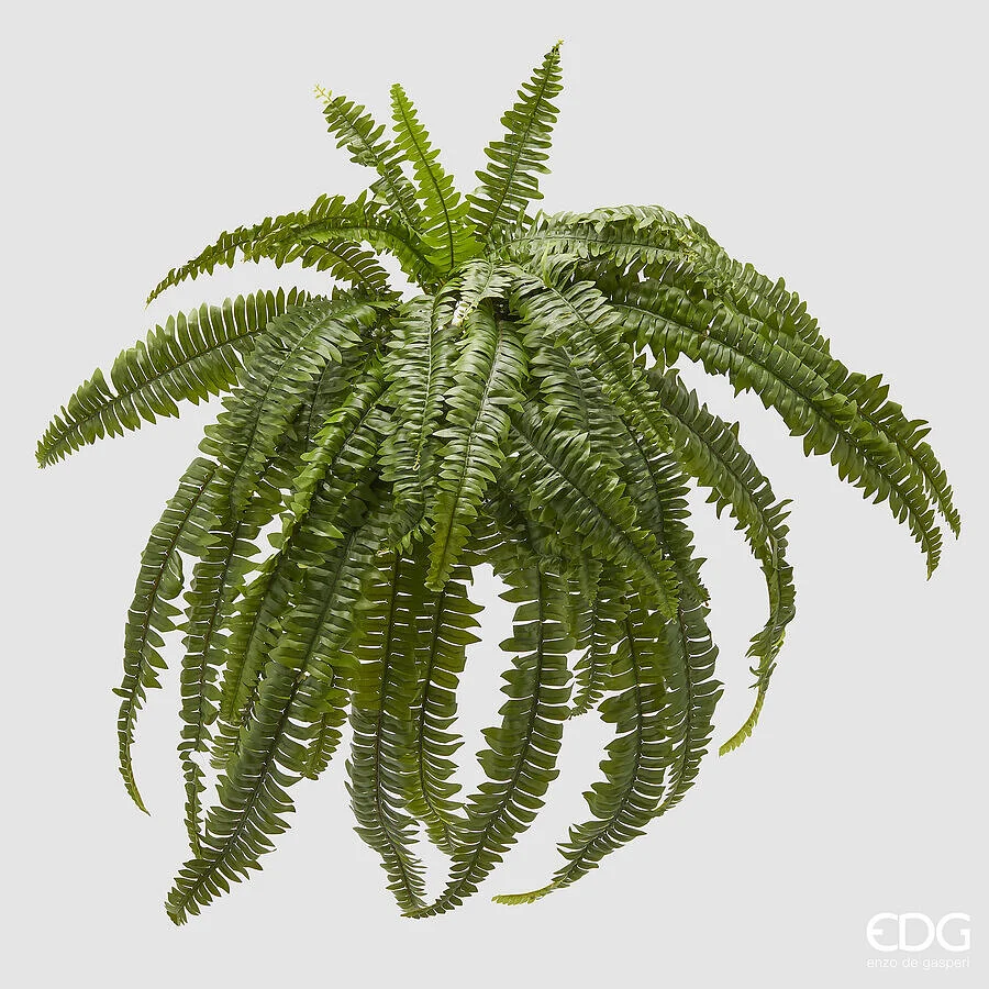 EDG Enzo De Gasperi Felce Bell Giga D 100 Cm 40 Fg Pianta Artificiale Verde