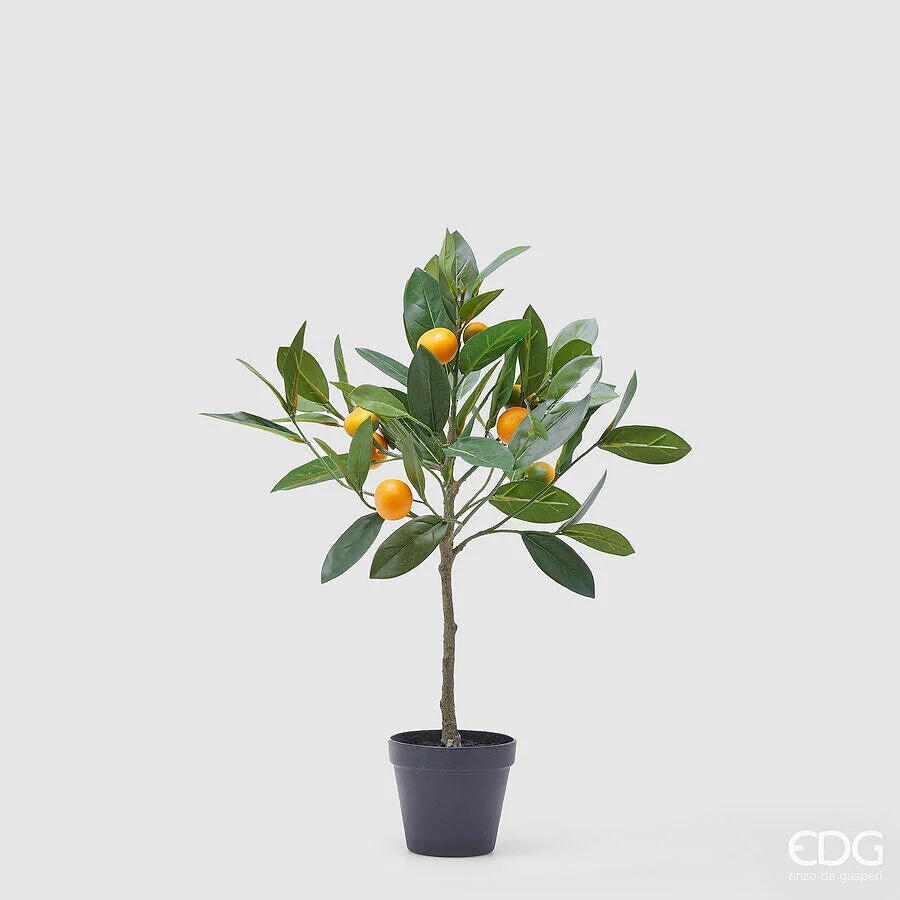 EDG Enzo De Gasperi Mandarino con Vaso H 56 Cm Pianta Artificiale Mix Verde