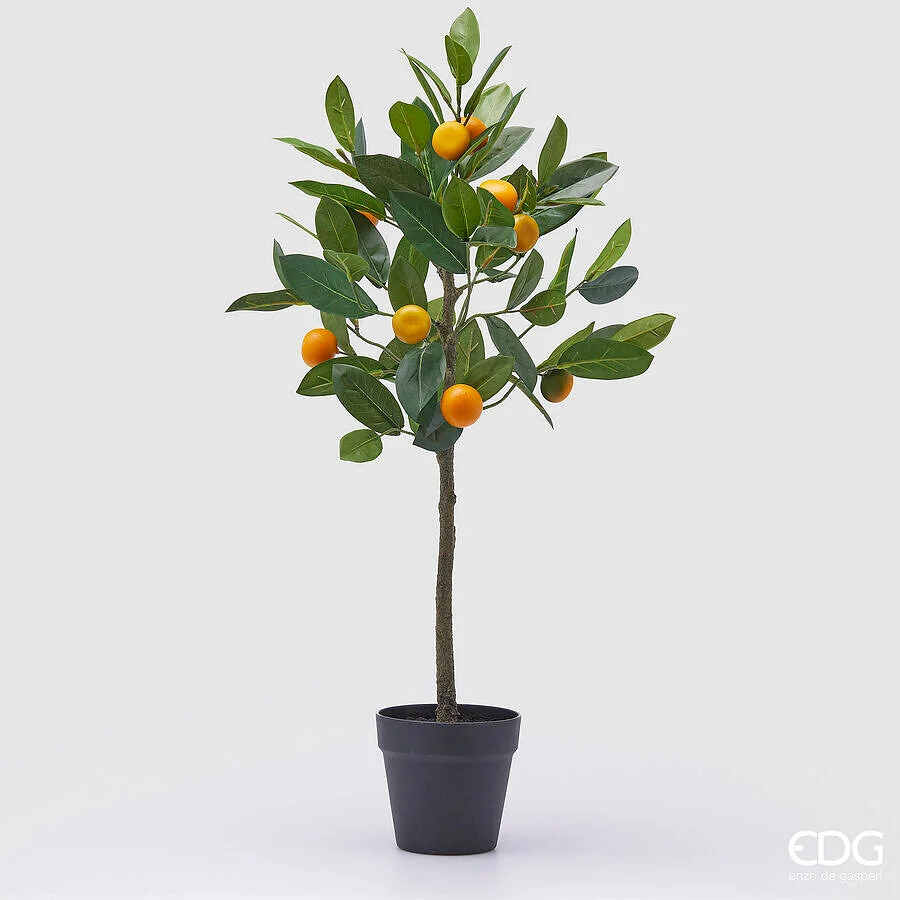 EDG Enzo De Gasperi Mandarino con Vaso H 76 Cm Pianta Artificiale Mix Verde