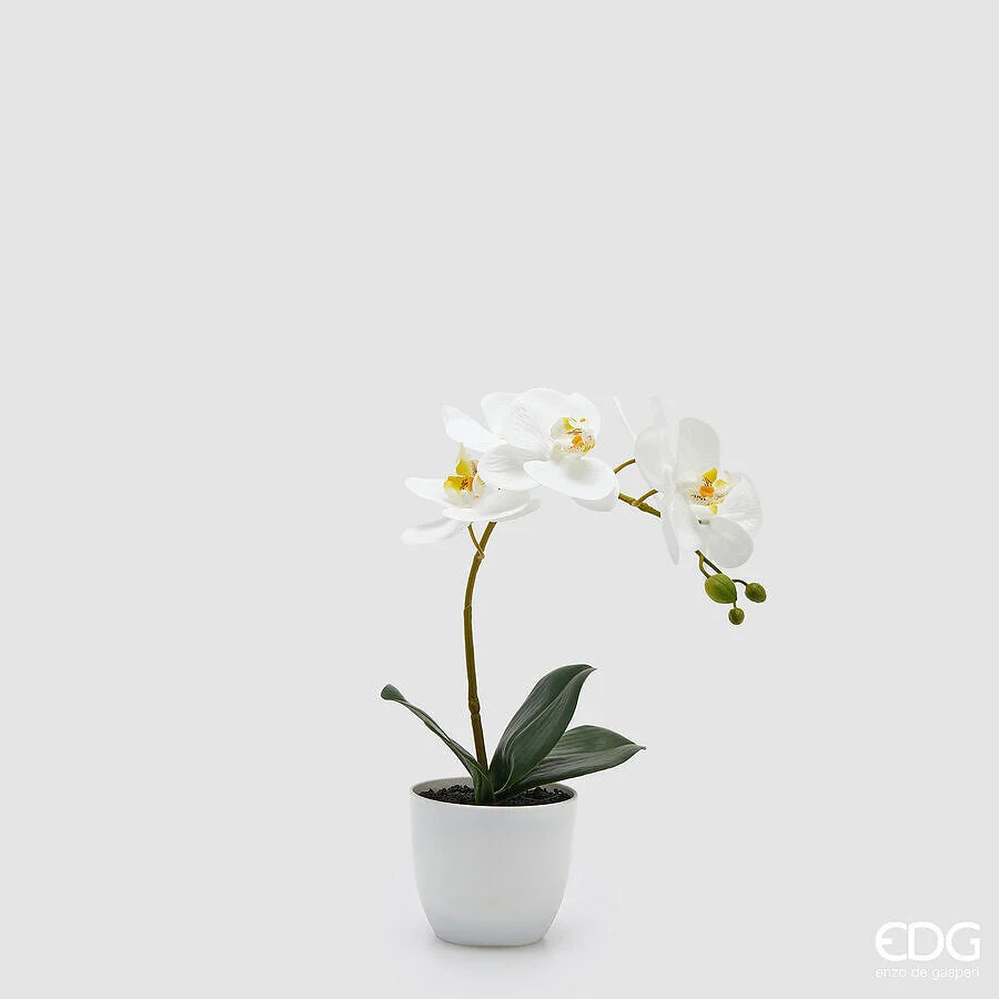 EDG Enzo De Gasperi Orchidea Phalaenopsis con Vaso e Foglie H 40 Cm Pianta Artificiale Bianco