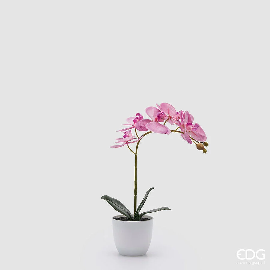 EDG Enzo De Gasperi Orchidea Phalaenopsis con Vaso e Foglie H 40 Cm Pianta Artificiale Fuchsia