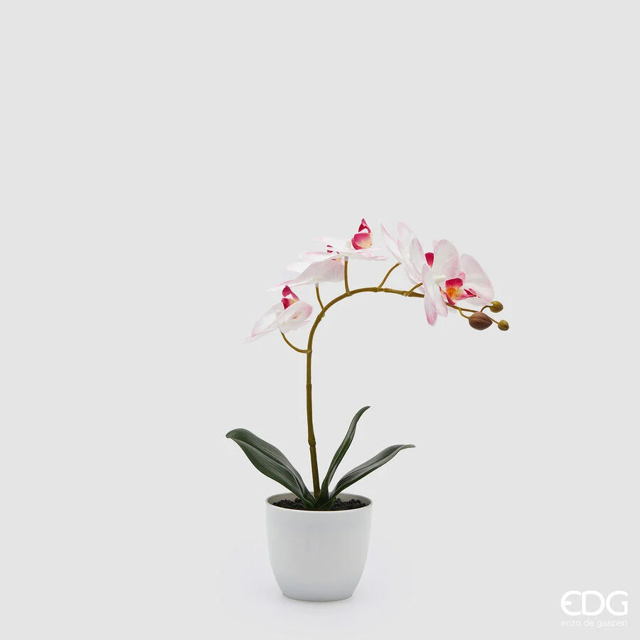 EDG Enzo De Gasperi Orchidea Phalaenopsis con Vaso e Foglie H 40 Cm Pianta Artificiale Rosa Chiaro