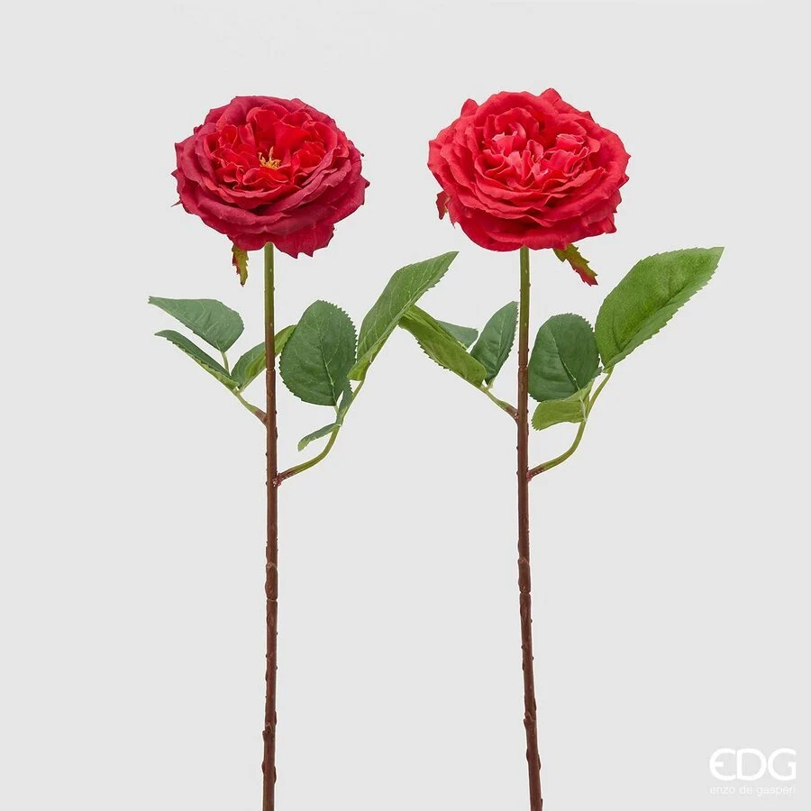 EDG Enzo De Gasperi Rosa Alma Olis 2 Fg Ass. H 48 Cm Pianta Artificiale Colore Beauty 1 Pz