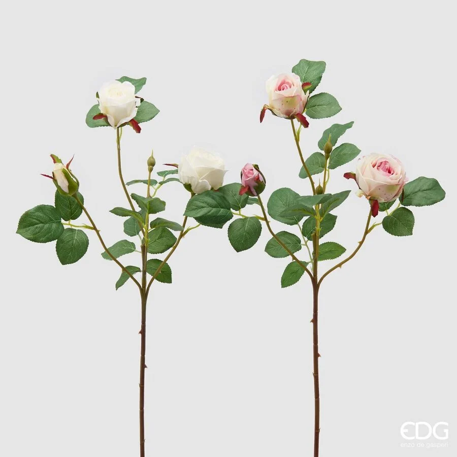 EDG Enzo De Gasperi Rosa Olga Olis Ramo Ass. H 62 Cm Pianta Artificiale Bianco Rosa 1 Pz