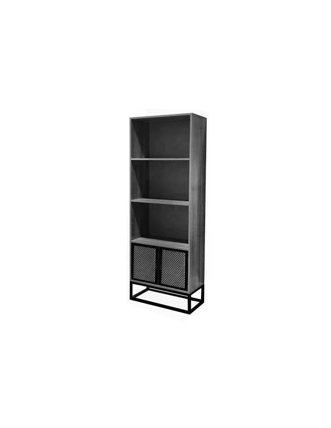LIBRERIA INDUSTRIAL CON RIPIANI E 2 ANTE 60X30X164H GRIGIO