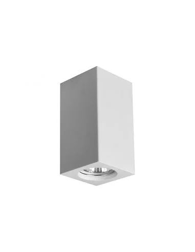 Luce da soffitto in gesso 2613