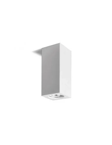 Luce da soffitto in gesso 2869