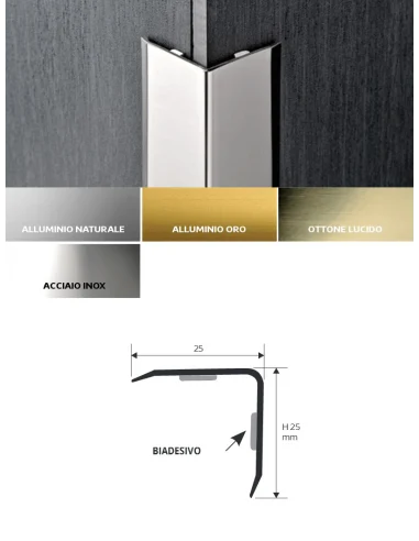 PARASPIGOLO PROEDGE