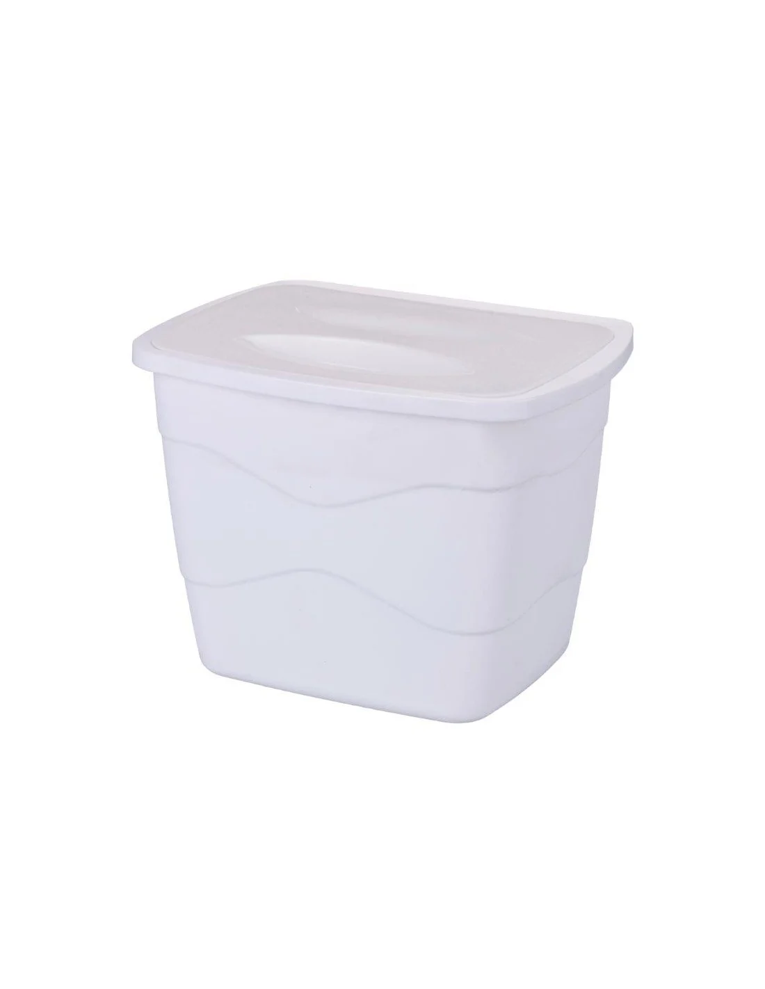PATTUMIERA CON COPERCHIO DA ANTA